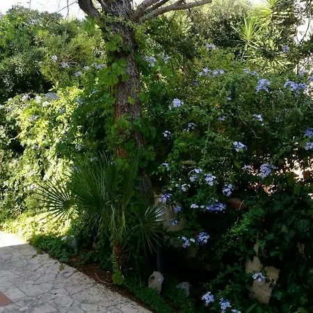 Il Giardino Del Falso Pepe *